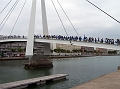 DSC_1484 (5)